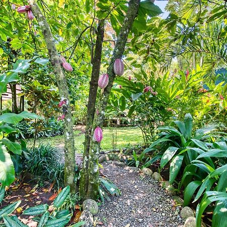 Villas Pina - Adults Only Puerto Viejo de Talamanca ภายนอก รูปภาพ