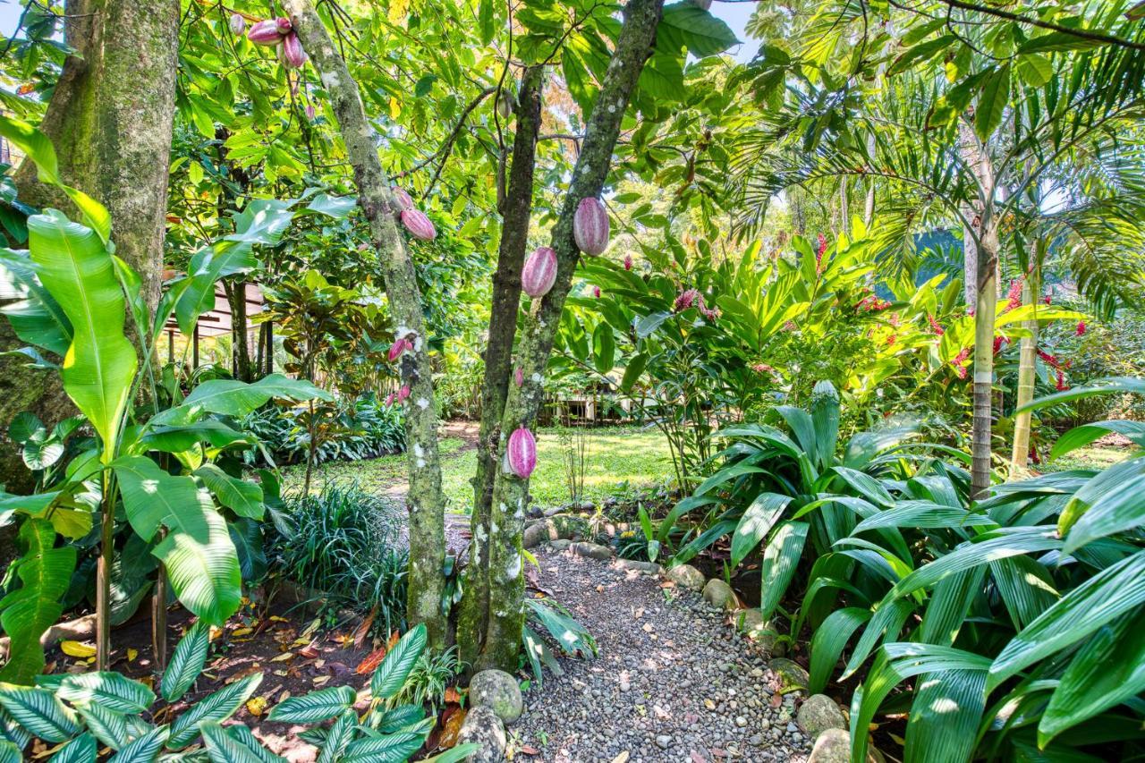 Villas Pina - Adults Only Puerto Viejo de Talamanca ภายนอก รูปภาพ