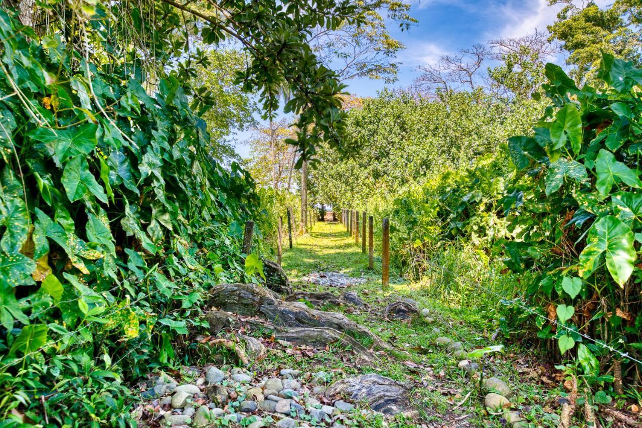 Villas Pina - Adults Only Puerto Viejo de Talamanca ภายนอก รูปภาพ
