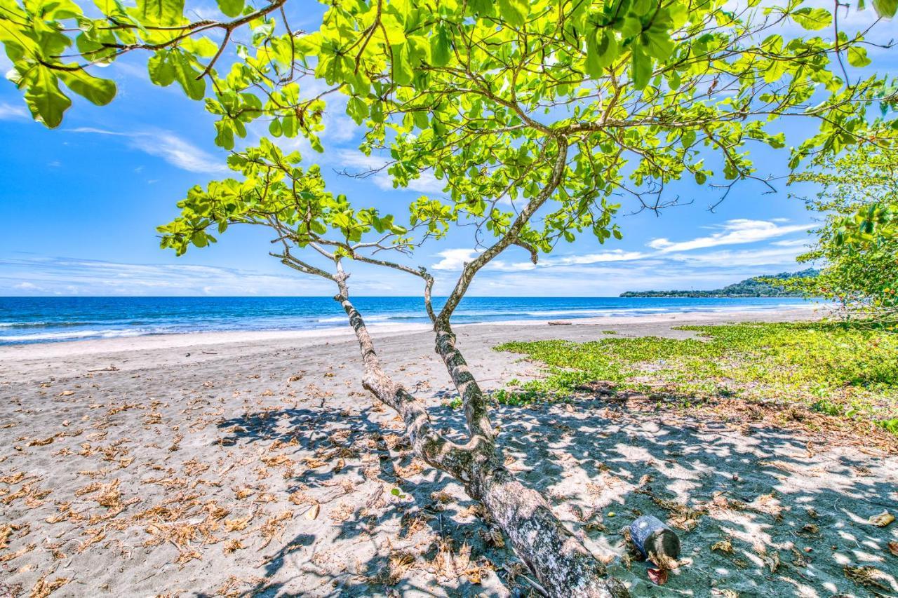 Villas Pina - Adults Only Puerto Viejo de Talamanca ภายนอก รูปภาพ